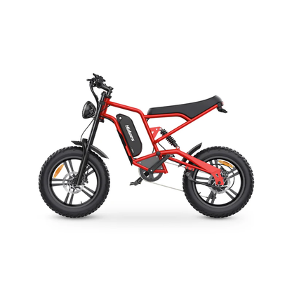Hidoes B6 1200W