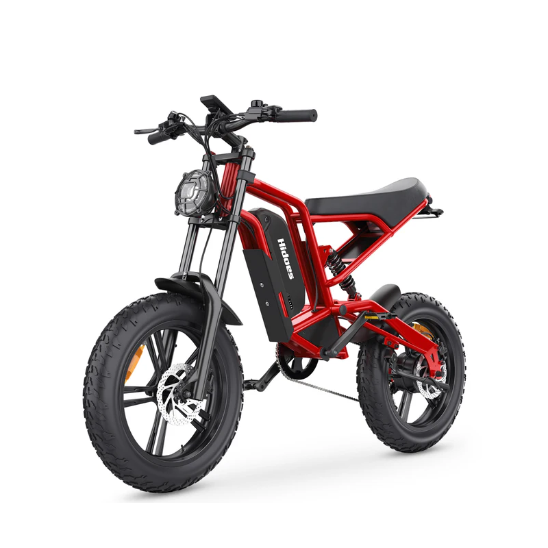 Hidoes B6 1200W