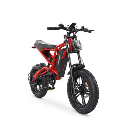 Hidoes B6 1200W