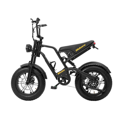 HIDOES B6 MINI 500W