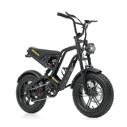 HIDOES B6 MINI 500W