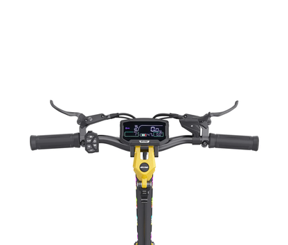 iEnyrid ES60 2400W