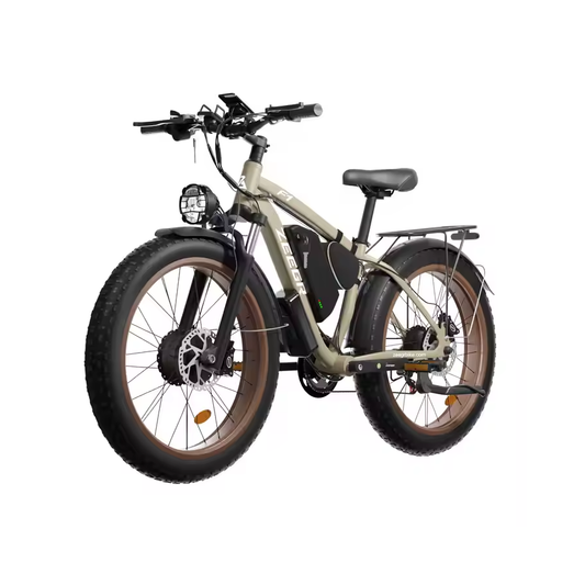 ZEEGR F1 1000W