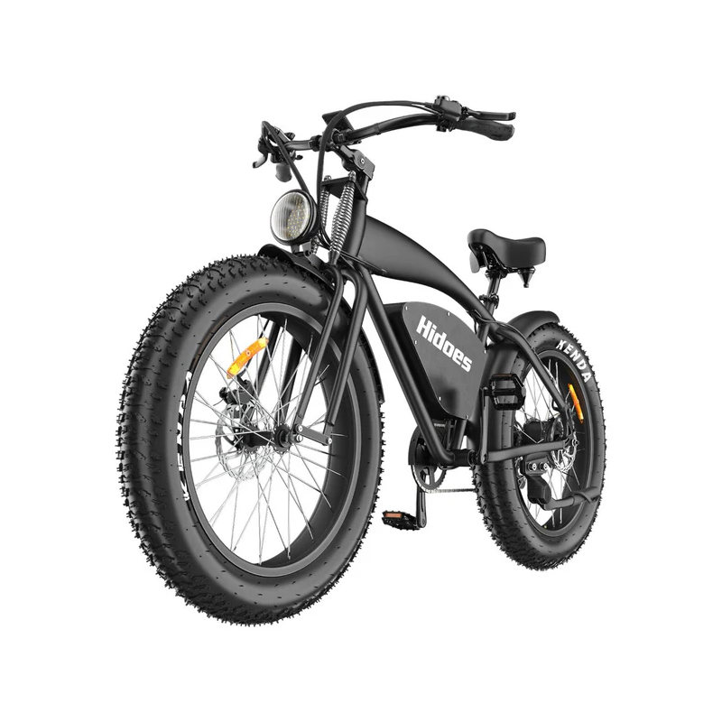Hidoes B3 1200W