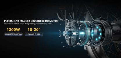 Hidoes B3 1200W