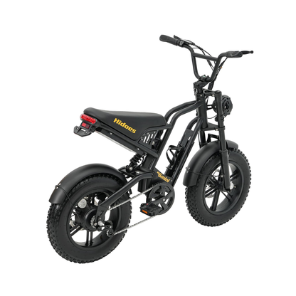 HIDOES B6 MINI 500W