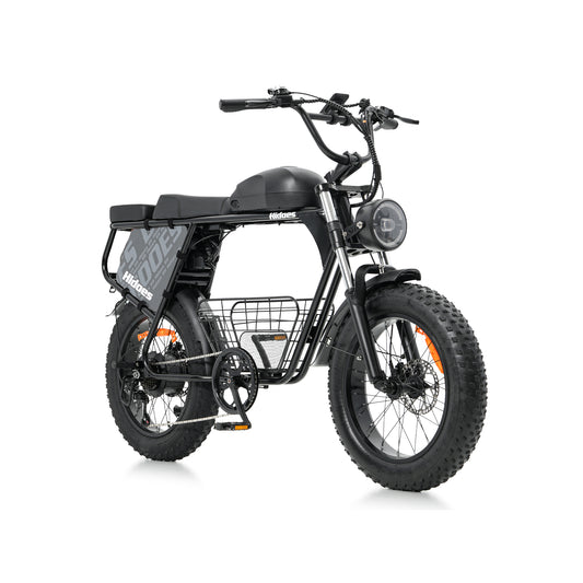 HIDOES B9 750W