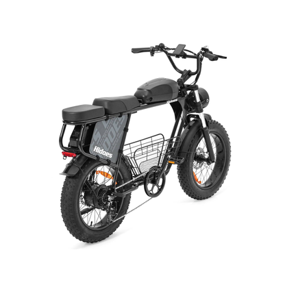 HIDOES B9 750W